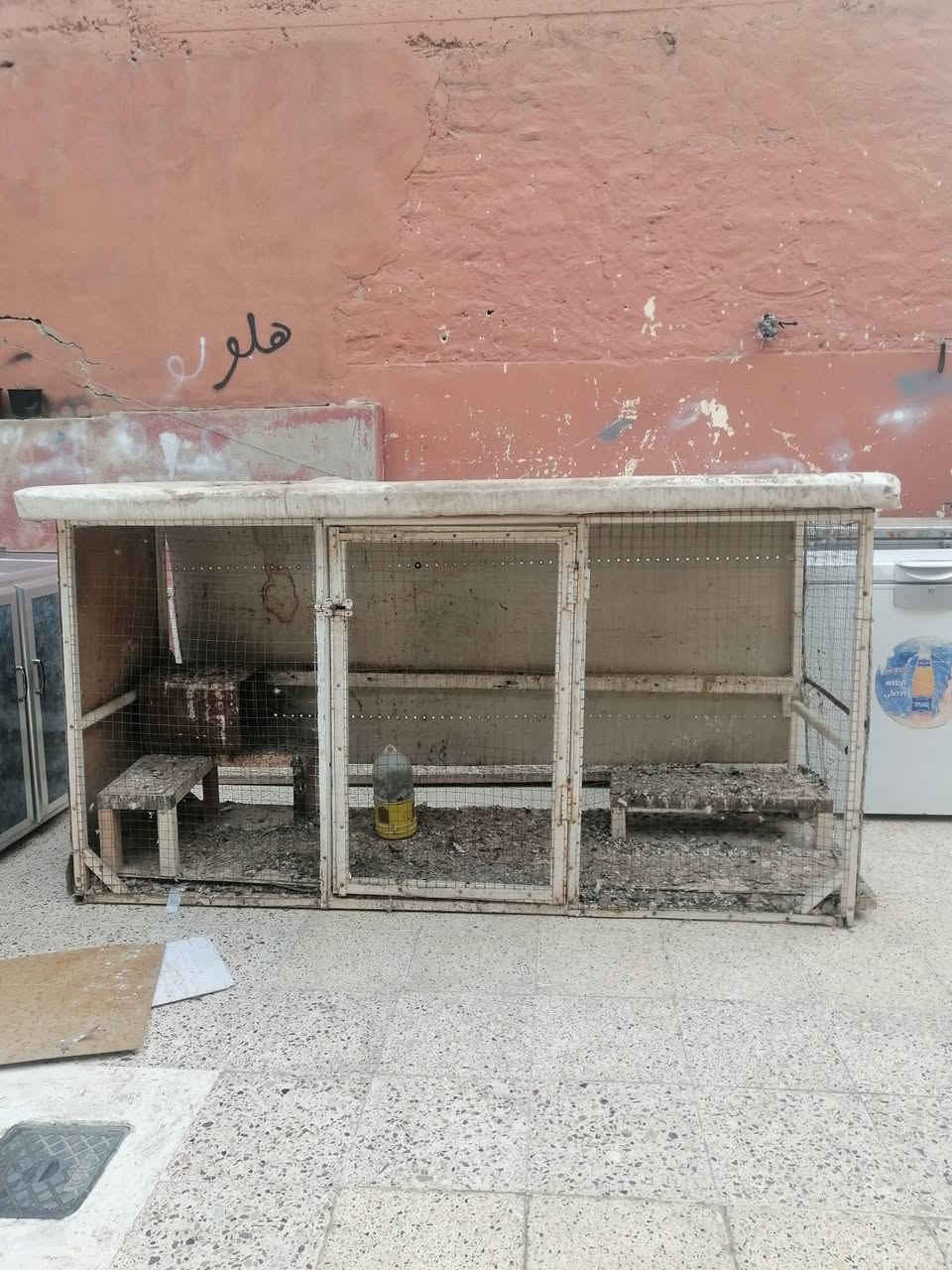 باب حديد ثقيل وقفص حديد ثقيل مرتب


**إذا كنت صاحب هذا الإعلان وتريد حذفه لأي سبب، رجاءا أرسل رسالة إلى الدعم الفني**