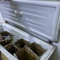 مجمدة • شرط • ١٨قدم