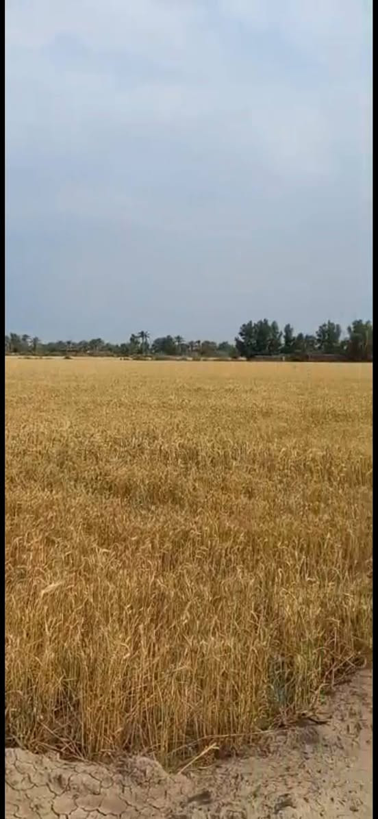 اخوان ١٣ دونم بالمأمونية تخبل والله بالبداية كلش مستعجل على بيعتهن مال عمي ومحتاج يريد يبيعهن ب ٤١٦ مليون


**إذا كنت صاحب هذا الإعلان وتريد حذفه لأي سبب، رجاءا أرسل رسالة إلى الدعم الفني**