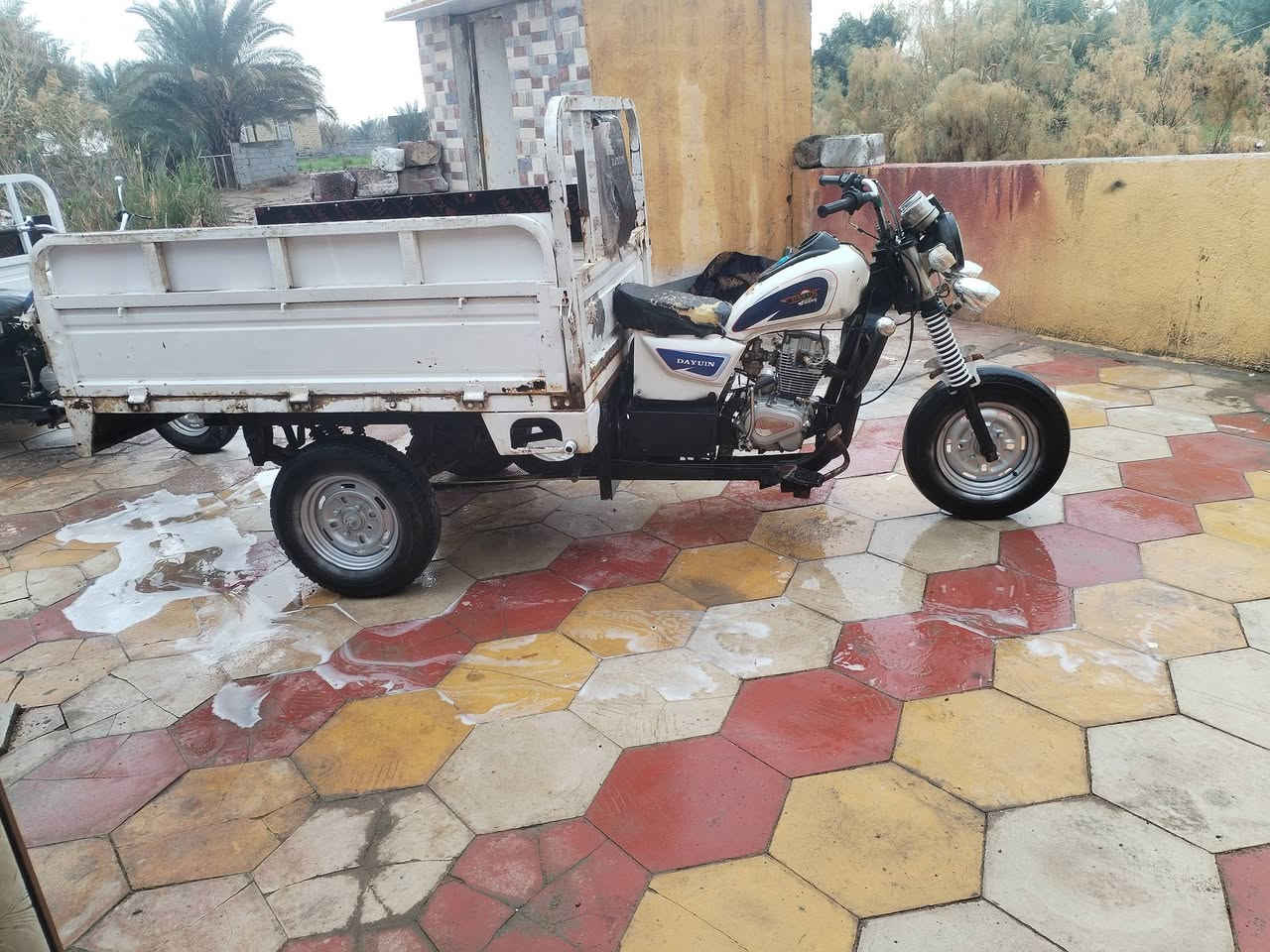 سلام عليكم ستوته للبيع مديل 2018 اوراقهه كامله مكينه مامفتوحه ستوته جاهزه السعر  واحد او 300 مابيهه مجال مكاني شطره عله طريق الدوايه هاذه الرقم ***********
