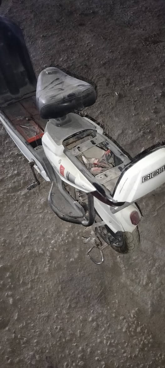 السلام عليكم
بايسكل شحن حجم مثل ما موضح بلصوره نقص بطاريات فقط وسله (السعر50 مابي كل مجال). 

الموقع كربلاء الحر الصغير 

رقمي: ***********
