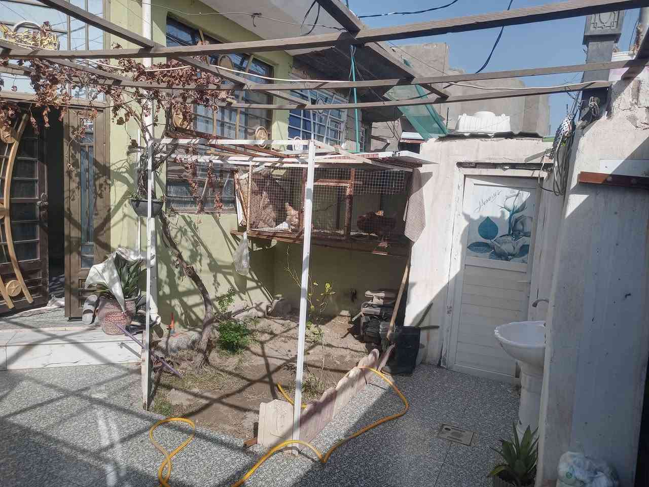 اللهم صل على محمد وآل محمد
بيت مساحه ١٢٠ متر
الموقع طوريج الحولي خلف حلويات الحمداني نهايه المجمع السكني الجديد متوفر كافه الخدمات يبعد عن تبليط المجمع  ٣٠ متر تقريبا
يحتوي على غرفه وصاله ومطبخ واستقبال وصحيات عدد ومناور عدد ٢ والبيت كامل من كولشي نقص ستاره للسطح فقط لا غير 
سند ٢٥
بناء جديد
السعر المطلوب ٦٣ بي مجال بسيط
***********
***********
