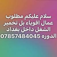 وظيفة • بغداد • واتساب