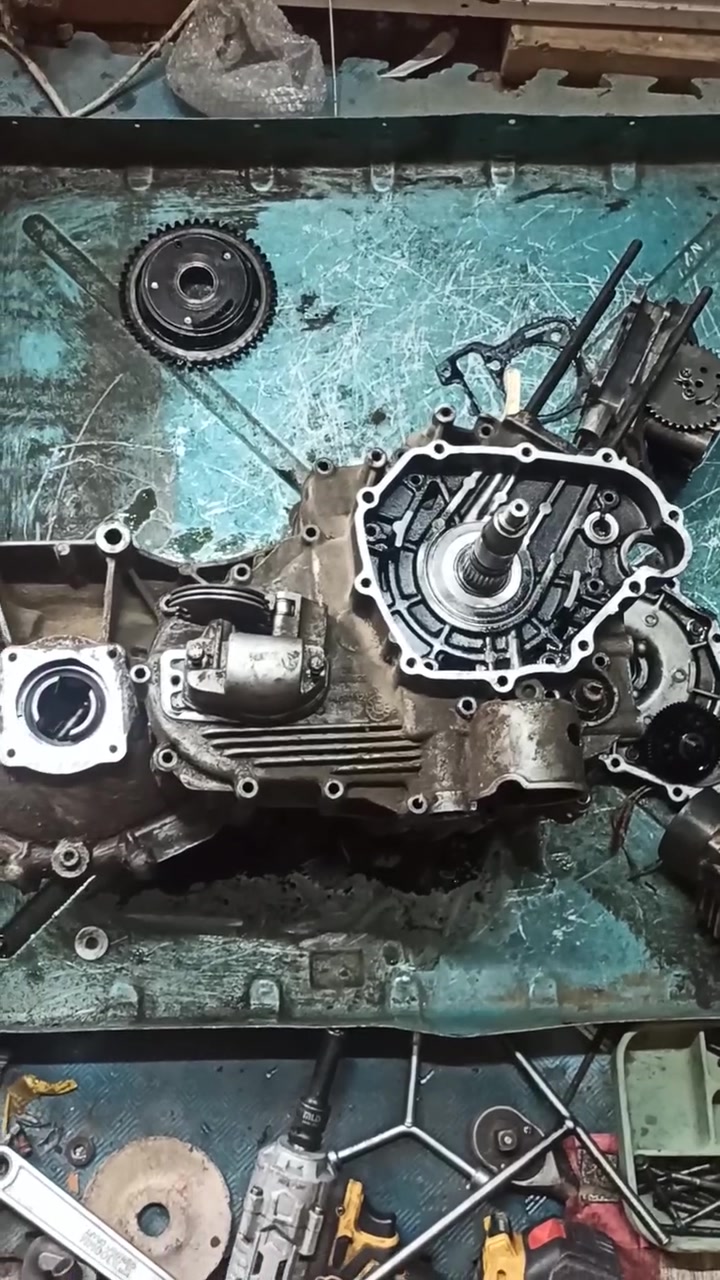 سلام عليكم اني فيتر بياجو واتول عنواني بغداد زعفراني شارع المعهدرقمي بي وتس اب  ‪0776 081 8537‬‏
