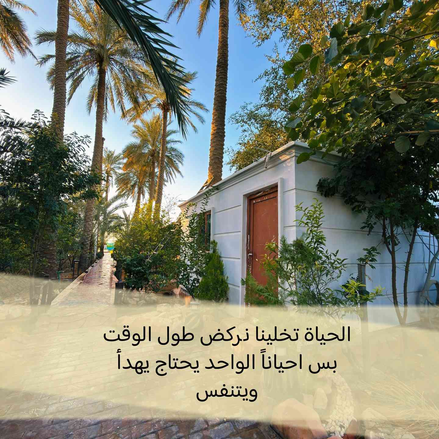 للحجز او الاستفسار التواصل عن طريق الرسائل في الانستغرام او الواتساب او على الرقم ***********
