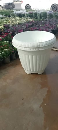 متوفر حاليا • احجام كبار