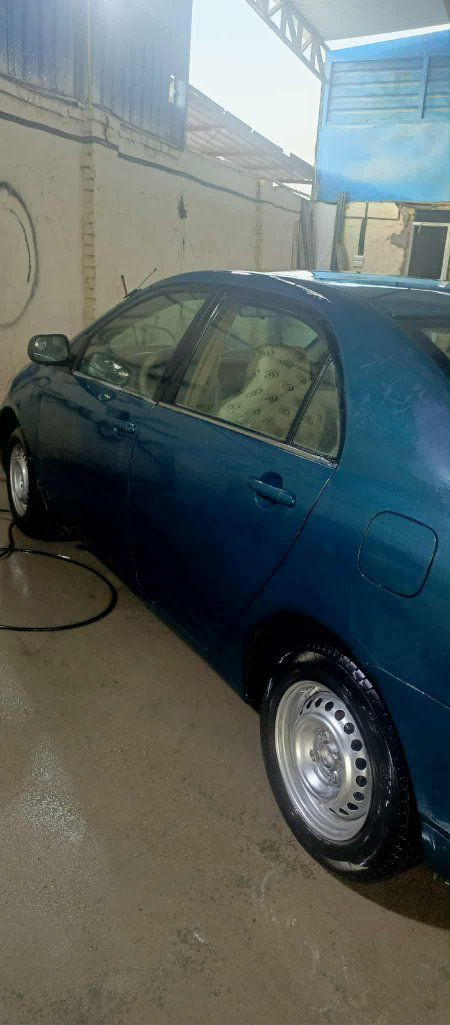 كوريلا نحلة ادوات ادوات موديل 2005 متومة بغداد بس ارقام بدون سنوية تبريد شغال سيارة جاهزة بدون نواقص السعر 30 وبيها مجال موجودة بالقادسية قضاء المهناوية الاتصال ***********
‏
