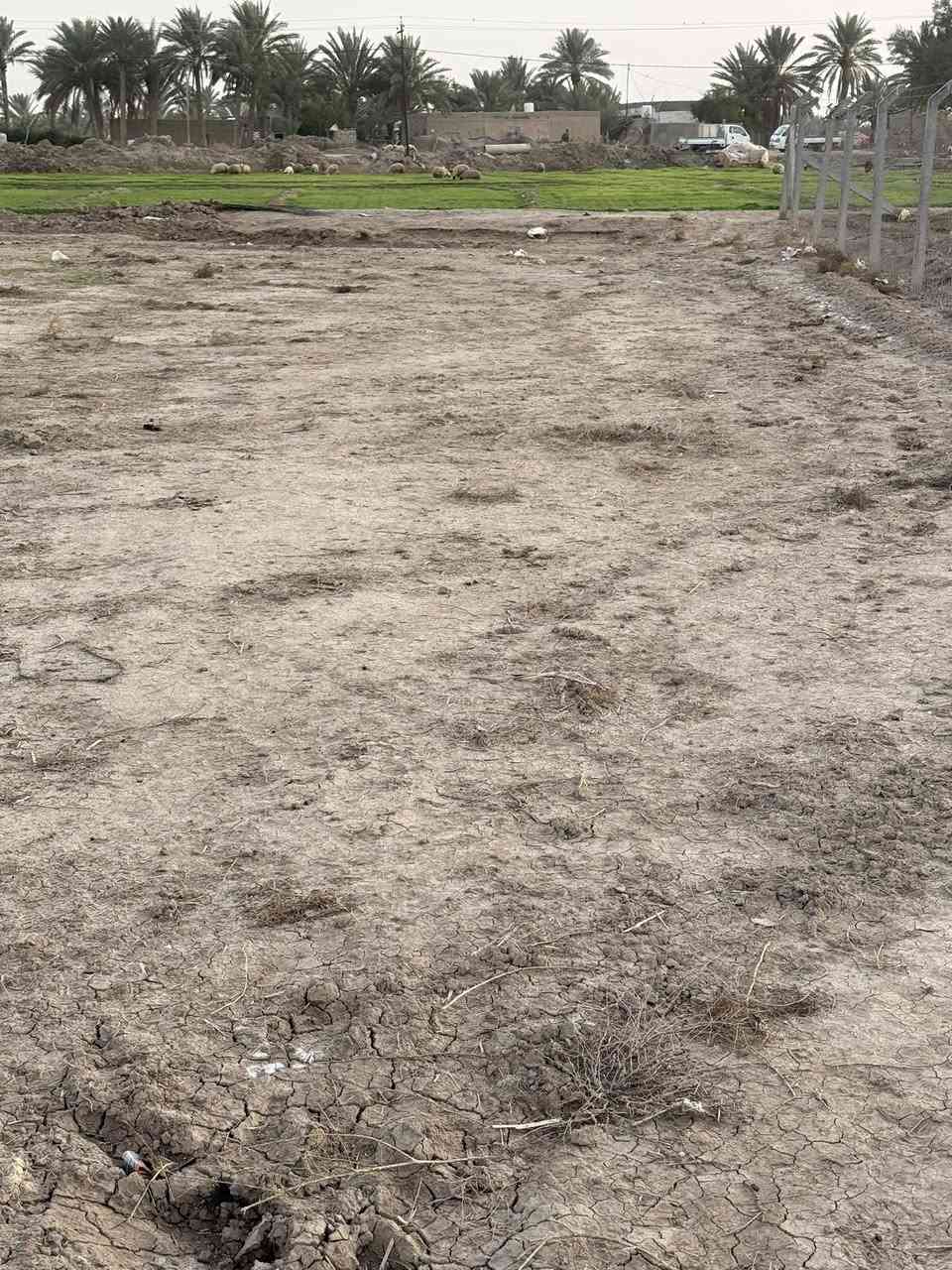 ©️إعـــلان ارض زراعـــيه للبــيع المســـــــاحه 2 دونم 🏞️
🏢طابـو زراعـــي ســند 25 تحــويل مباشر 

💡تتــوفر فيها كـــافه الخـــدمات

🚰اســـاله كهرباء مـاء سقي

 🏢محدده ومفروزه 

🏞️العنــوان بابل ورديه خــارج قرب سيطره البوطيف 

📲.     الاتصال ***********
