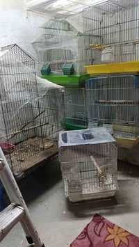 النجف شارع المطار • ٦ اقفاص • خانات كبيرة