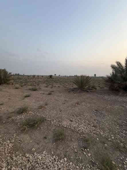 ٣ دونم السعر ٦٥ طابو زراعي سند ٢٥ مداور باسم المشتري مباشر المكان اول فرع بعد جامعه بابل تبعد عن شارع حله نجف ٢ كيلو وتبعد عن التبليط ١٥٠ متر الأرض زراعيه ومناسبه جدا 
للاستفسار الاتصال على الرقم 
***********
او واتساب 
***********
