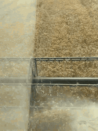 السلام عليكم 
ســلام علــــيكم 

حنطة البه بنت المغلف درجة أولى شرط

الكمية 5 طن

العنوان كركوك - طريق ليلان

***********
