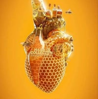 عسل • عسل طبيعي • عسل مضمون • مناحل • نحل