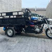 ستوته للبيع فحل نضيفه حيل السعر 850وبيها مجال07824996491