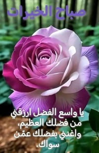 ورحمه الله وبركاته اخواني محتاج سياره صعدة سايق ساكن بغداد الشعب صاحب ...