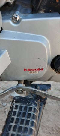 سونك • ٢٠٢٣ • بدون اوراق