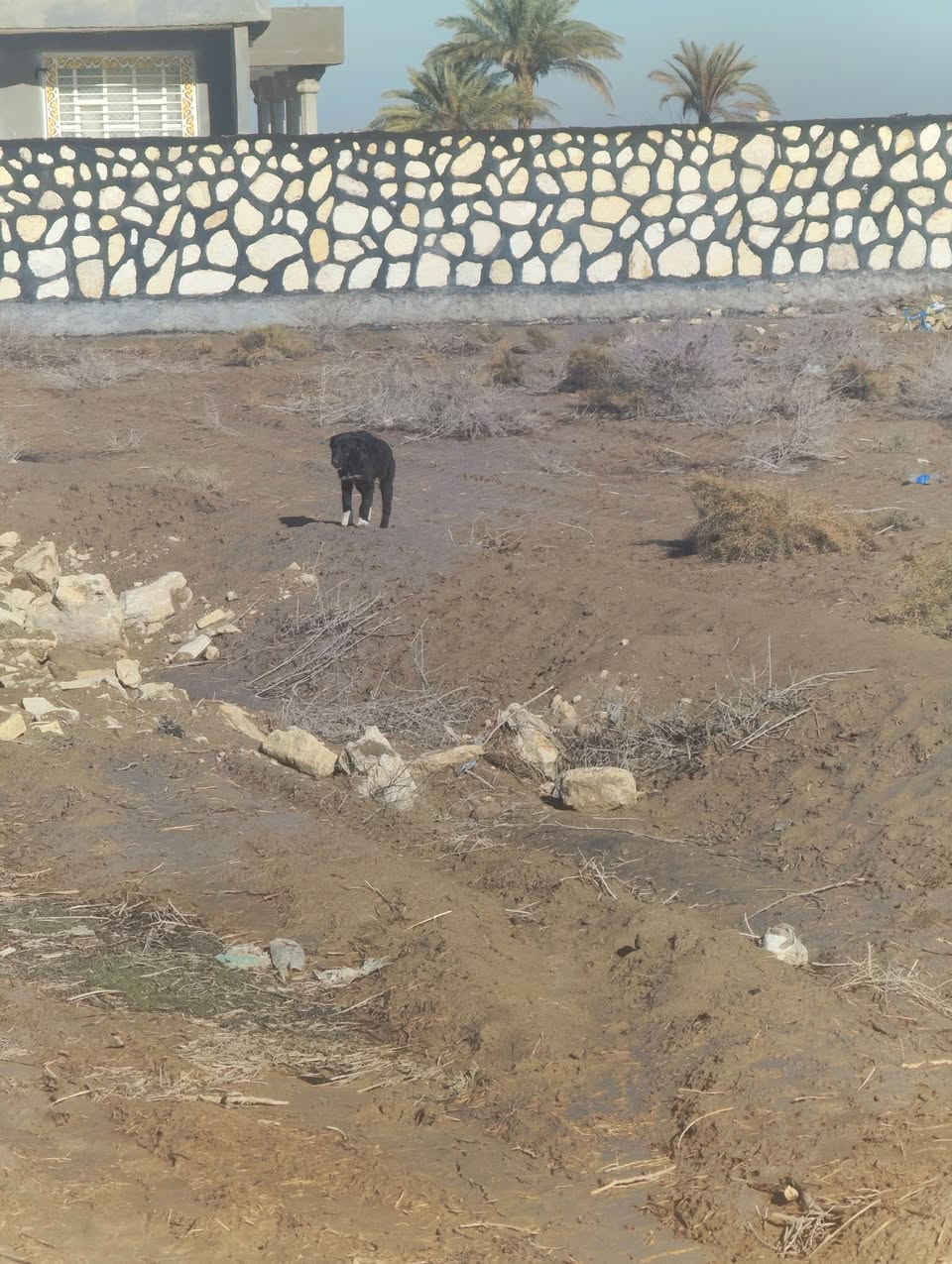 السلام عليكم ورحمه الله وبركاته بناء حجر كرسته على الرقم التالي ***********
