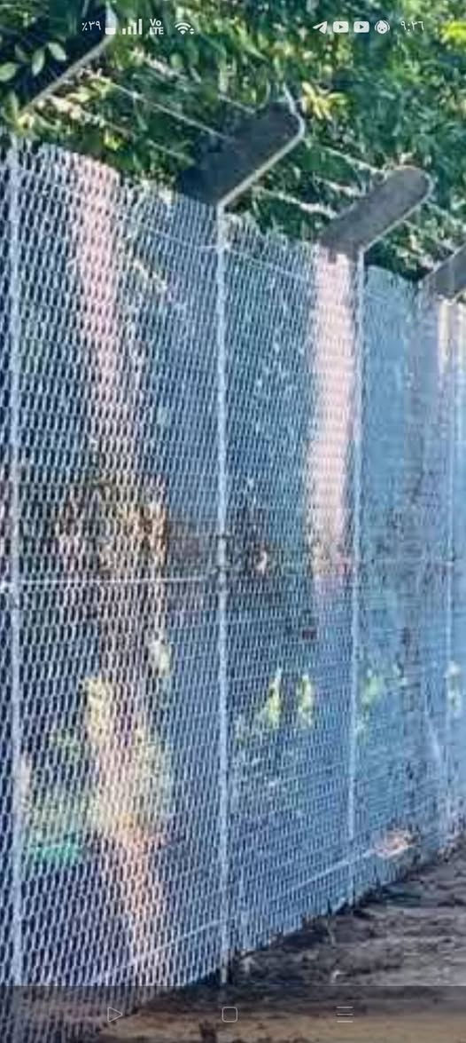 يالله مستعدون لعمل اسيجت البي أر سي كافت الأنواع⚒️ وبئنسب الأسعار💵 دقه بلعمل والالتزام بالمواعيد
نعمل في كافت مناطق كربلاء للتواصل ***********☎️
