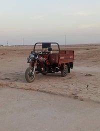 جمره مديل 14. اوراق اصولي مكفوله. 07829087940