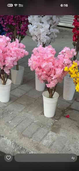 محمد ورد بغداد شورجه عماره الضمان ***********
