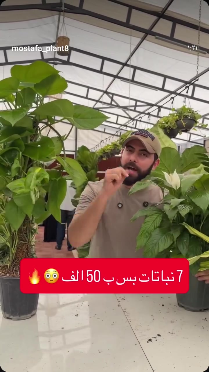 زورو موقعنا الرمادي حي التأميم شارع المشاتل مشتل الكوخ 🌴🌵🪴🍀 حياكم الله


**إذا كنت صاحب هذا الإعلان وتريد حذفه لأي سبب، رجاءا أرسل رسالة إلى الدعم الفني**