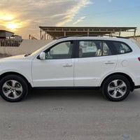 سنتافي • ٢٠١٢ • رقم اربيل