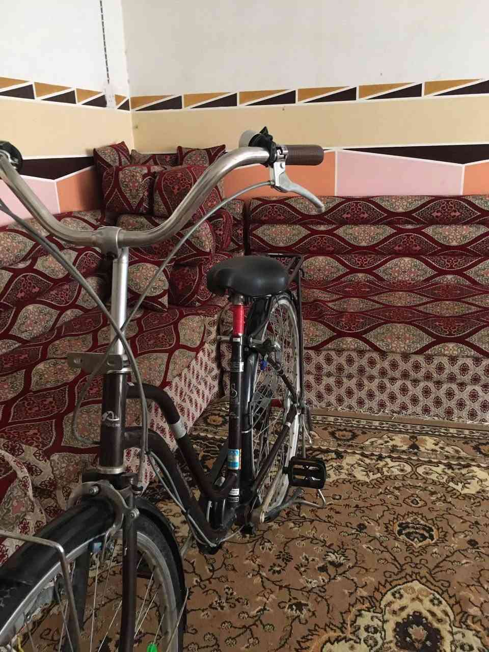 السلام عليكم
باسكل للبيع  

حجم.  /27

موديل /2019

 

السعر  85 وبي مجال 

مكان كربلاء / طوريج 

للتصال/ ***********

 ملاحظة / الباسكل بي نواقص بسيطه
