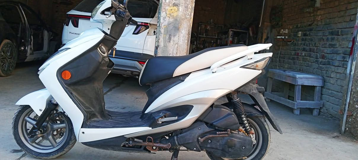 سكنس لد قبق نفخ ياباني مفولة مكاني ديالى بعقوبة حي المعلمين صناعة الاولى يم مطعم جنة بغداد رقمي ***********
