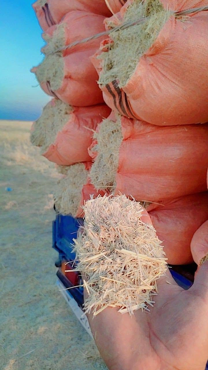 تبن البيع واصل البيت مكاني الحجاج الكبسه 150وبيه مجال الستفسار علئ هاذا الرقم ***********
