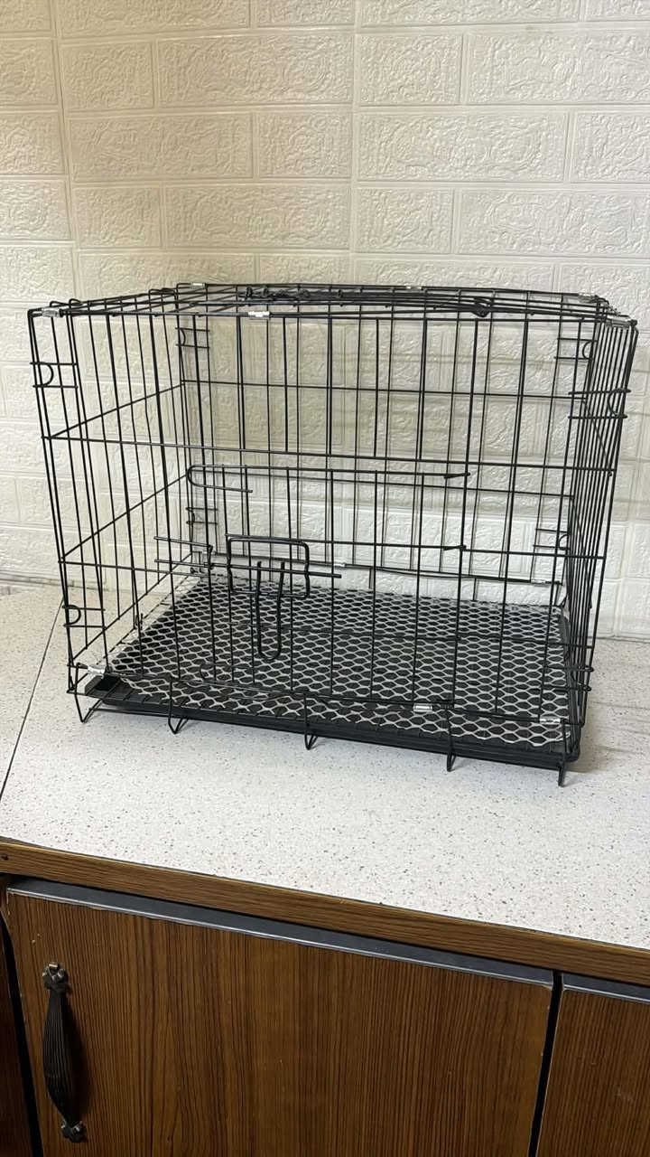 ٥٠ ب ٣٥ ب ٣٨
١٣ الف


**إذا كنت صاحب هذا الإعلان وتريد حذفه لأي سبب، رجاءا أرسل رسالة إلى الدعم الفني**