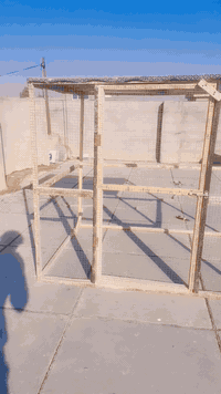 شباب  برج شغل ايدي فول مرتب وجبير قياساته كدامك  يلزم طيور خير من الله...