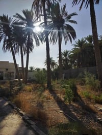 قطعة ركن للبيع أو مراوس بمساحة ٨٥٠ متر واقع حال ٩٢٠ متر واجهة ٢٢متر تح...