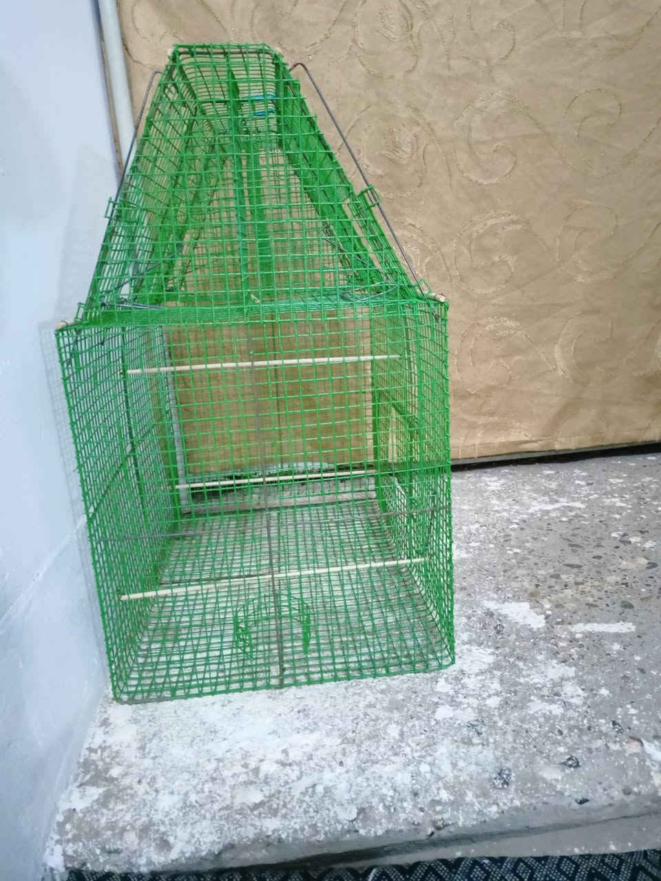 متاح قفص جديد غير مستخدم 4 فخات بسعر 13الف قفل


**إذا كنت صاحب هذا الإعلان وتريد حذفه لأي سبب، رجاءا أرسل رسالة إلى الدعم الفني**