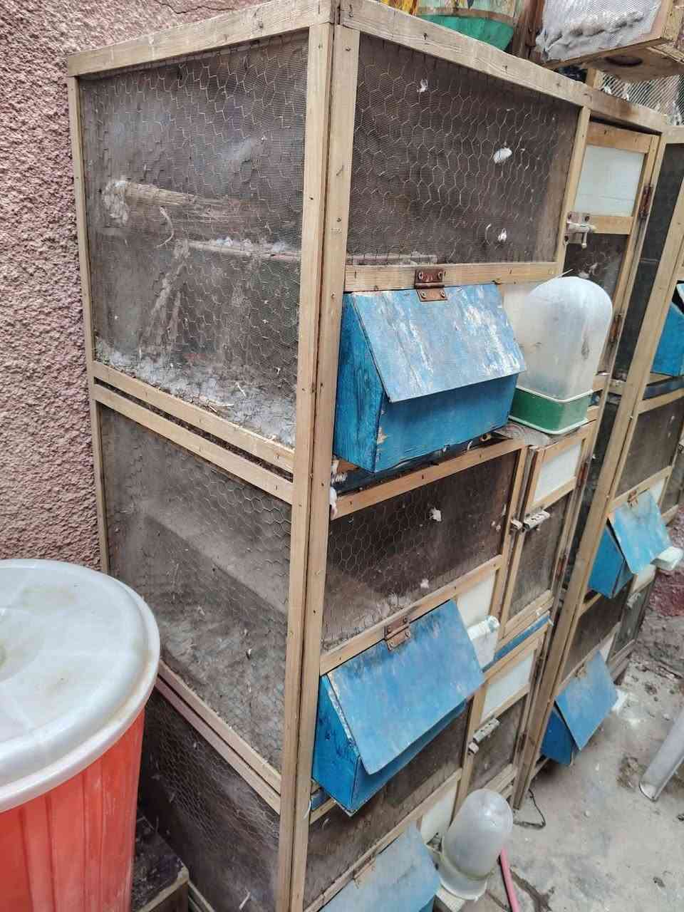 السلام عليكم ٣ اقفاص كل قفص بيه ٣ خانات وجررات تنظيف كلهن ب١٢٥ وبيهن مجال بغداد البياع الَمعالف تقاطع الربيعي رقم الهاتف ***********
