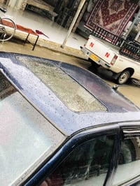 ١٩٩٣ • علوج • گشت