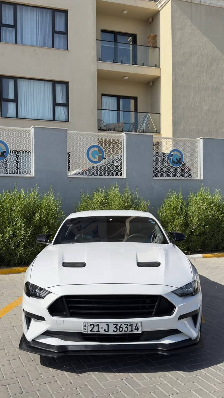 ✅ السلام عليكم للبيع او مراوس موستنك  فئه ال  ايكو ✅بوست تيربو 10 نمر 2020رقم سليمانيه تحويل شكوت ✅متريد الي يدور نضيف وجديد
✅محرك 2300 تيربو مكينه وكير مكفولات  صدر امامي ✅خلفي تبريد ثلج وتايرات جدد وعليها ادامه كامله من كل ✅النواحي متصرف عليها ولا ربع السياره جاهزه
✅ماشية123km من انضف الموستنكات  الايكو بوست ✅چانت ب اربيل السياره جديده كلش ونصبتها تخبل لعابه 
✅السياره حادثها كلش خفيف بيها قطعتين وربع صبغ فقط ✅الجاملغ والبنيد وربع الجاملغ عكس السايق شواصي ✅والغود مكفوله وصور الحادث مرفقه 
✅بلاك اديشن ومري سود باتمان وعليها لحايه ودفيوزر 
✅وبجم ماك وان
✅مواصفات بريموم معروفه مفوله 1/1
✅وضعيات قيادة 5
✅وضعيات ستيرن 3
✅شاشة جبيرة كار بلي وكامره 
✅شفتات ستيرن
✅كشنات كهرباء تدفئه تبريد وغرفتها جديده
✅مري هيتر 
✅عليها اناره داخليه ديسكو تتحكم بيها عن طريق ✅الموبايل ✅حركات وألون بيها كلش هوايه وتتفاعل مع ✅الاغاني
 ✅تشغيل عن بعد
✅وتنزل الجامات عن بعد
✅حساسات خلفية وبعد بيها هوايه مواصفات 
✅السعر155وبيها مجال بسيط للشراي انشالله 
🏠العنوان: بغداد حي الخضراء
للتواصل ***********
