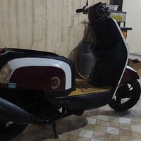 مراوس • سلف • هندر