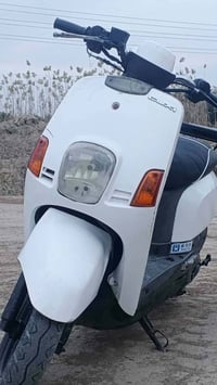 بوليس • بجيس • بيها مجال