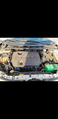 كورلا • ٢٠١٣ • اربيل