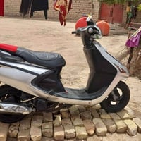 فراشه • فحل • مجال بسيط