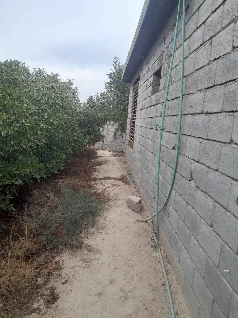 سلام عليكم للبيع دونم فرع إلمام قرب المحطه ع شارع العام للستفسار اتصل وتدلل***********
