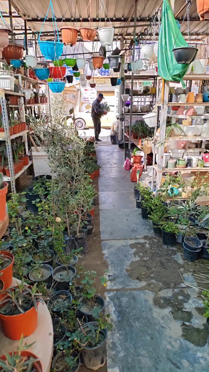 مشتل فهد التميمي 🎉 الحسينية شارع المكاتب السوق الصغير شارع الأطباء 🎉 اسعار مناسبة جدا


**إذا كنت صاحب هذا الإعلان وتريد حذفه لأي سبب، رجاءا أرسل رسالة إلى الدعم الفني**