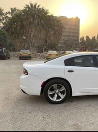 ويل 18 • اصلي • مراوس