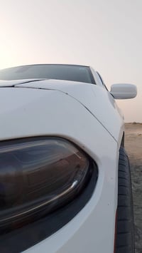 دوج جاجر • ٢٠١٥ • رقم نجف