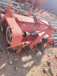 قلاية بطاطا • مستعمل موسمين • فايدة