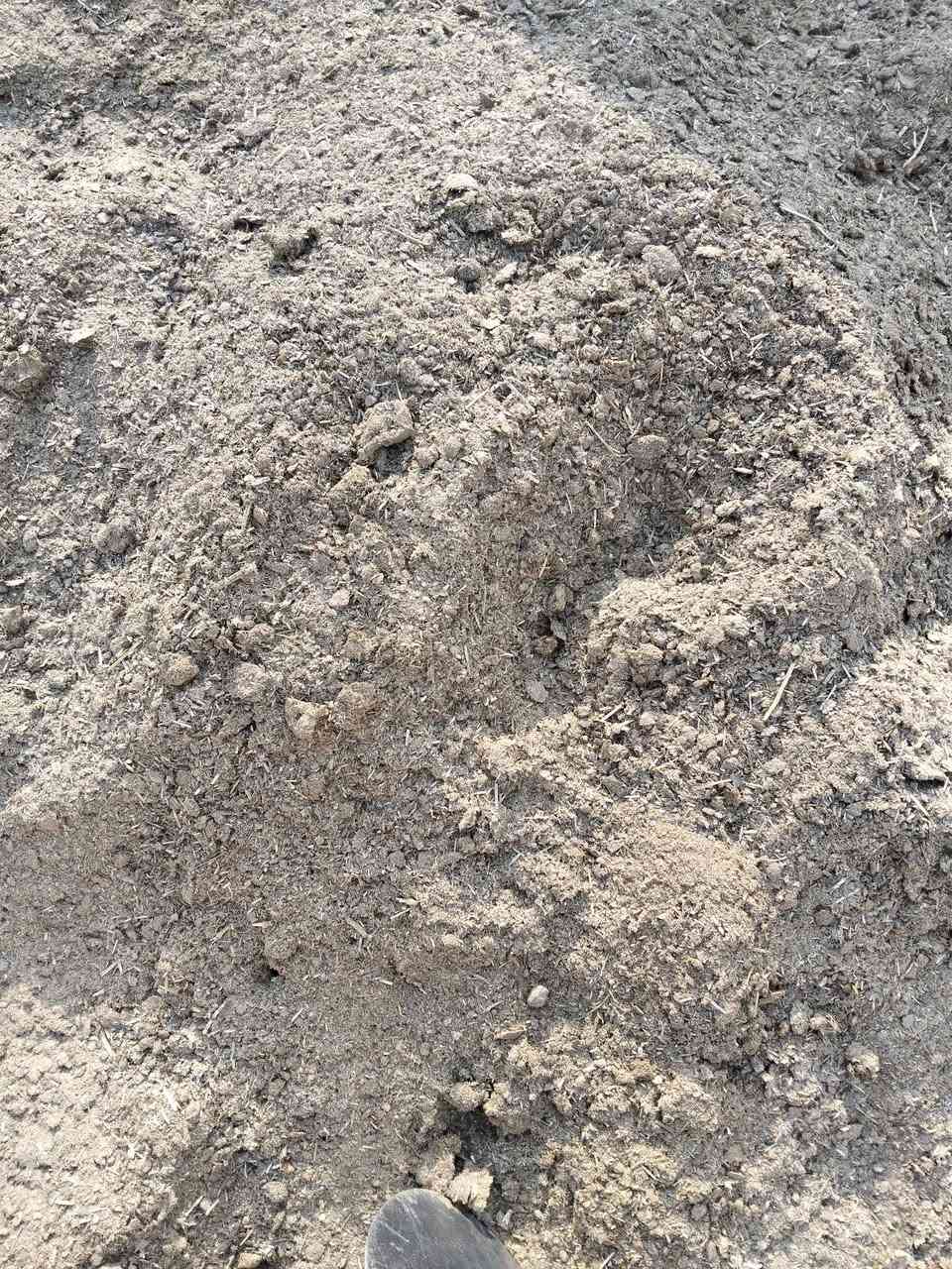 السلام عليكم 
متوفر دمن حيواني اخوان دمن نضيف ويابس وناعم وحته دغل ميطلع بي لان مال رباط نضيف كميات كبيرة معبا بكواني ام لتسعين نص وفوك لنص سعر لكونيه الف ونص للاستفسار ***********
