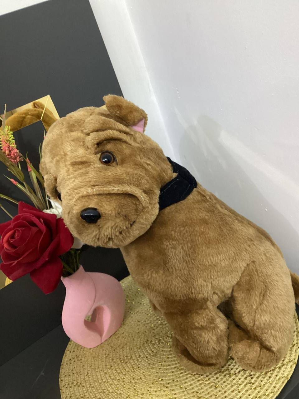 عنددي شليف العاب سوفت قطني حجم وسط والكبير شللليف يتكووون  من ١٠٠ قطعه  يفيد. اصحاب مشاريع وعندي توصيل ايضا بسعر جدا مناسب  وعندي. بيع قطع ايضا ونضافه درجه. اول ويشهد. الله على. كلامي نضافه وجمال قطع. جنننن  جنت ابيع بيهن وخير من الله من داخل بيت بس حاليا دابيت شليف ب اكمله لن. حتاجيت فلوس  عمليه ابني ف دابيعه شليف كامل   وعندي توصيل ايضا او تحبون شوفونه. ب نفسكم


**إذا كنت صاحب هذا الإعلان وتريد حذفه لأي سبب، رجاءا أرسل رسالة إلى الدعم الفني**