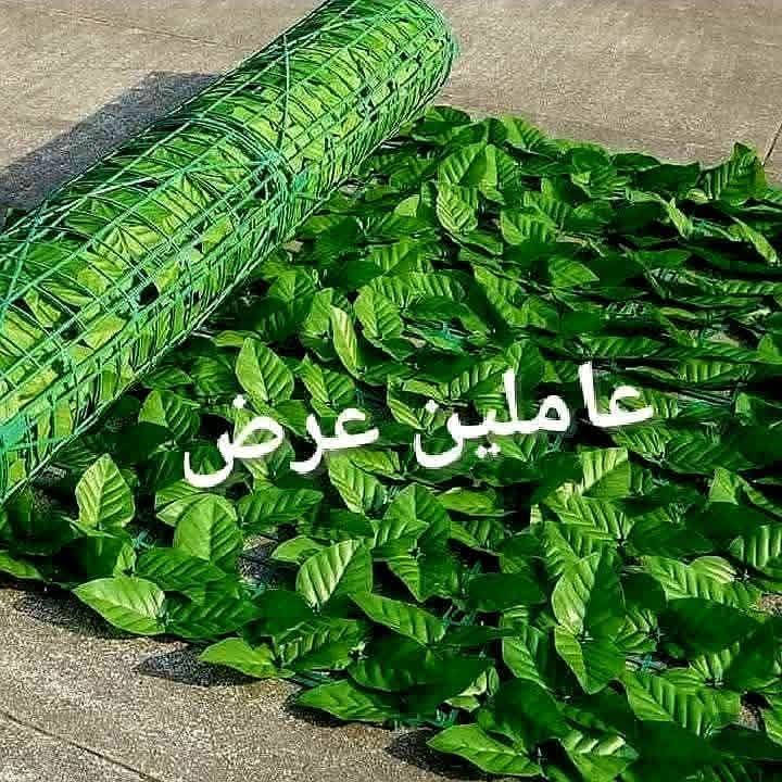 رول عشب صناعي 💚✨
لإطلالة خضراء دايمًا في الحدائق، المنازل، والبلكونات 🏡🌞  

🌟 منظر طبيعي واقعي — يغير شكل المكان تمامًا!  

🌿 كثيف وثقيل — جودة عالية ومظهر فاخر  

📏 مقاس الرول: 3 أمتار طول × 1 متر عرض 

🚚 توصيل وشحن لجميع المحافظات 💙


**إذا كنت صاحب هذا الإعلان وتريد حذفه لأي سبب، رجاءا أرسل رسالة إلى الدعم الفني**