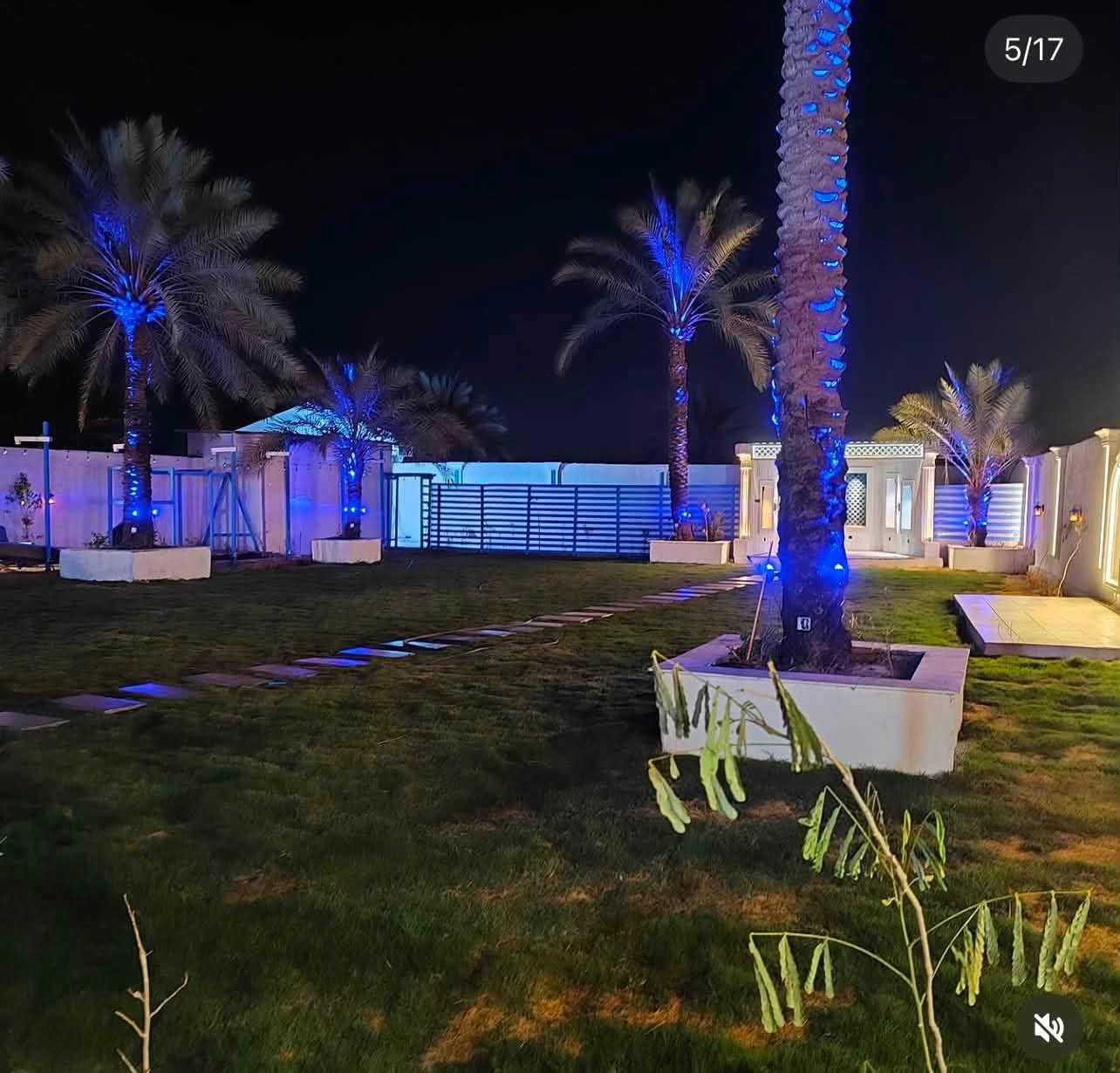 متوفره اليوم السبت مسائي عرب جبور ***********

