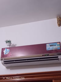 سبلت • شغال • على فحص