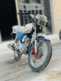 تايجر • اربعه كير • ٢٠٢٤